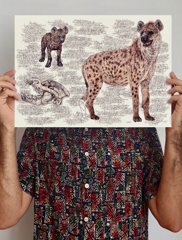 35 Beautiful Wildlife Sketches That Blend Scientific Detail With Artistic Wonder