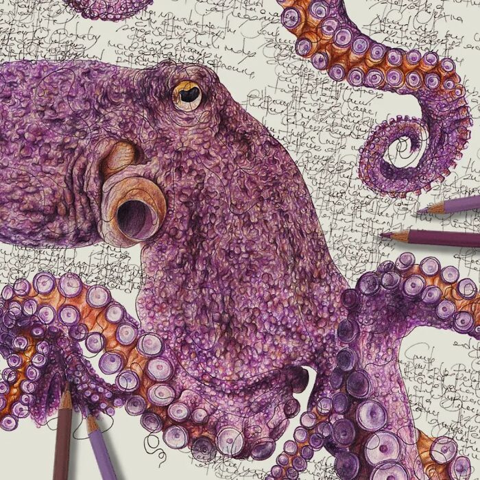 35 Beautiful Wildlife Sketches That Blend Scientific Detail With Artistic Wonder