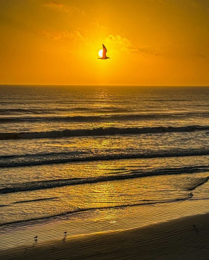 42 Beautiful Beach Photos Shared By This Page That Might Help You Mentally Escape To Summer