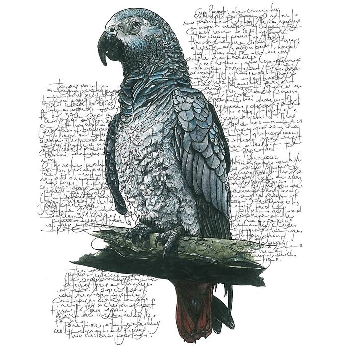35 Beautiful Wildlife Sketches That Blend Scientific Detail With Artistic Wonder