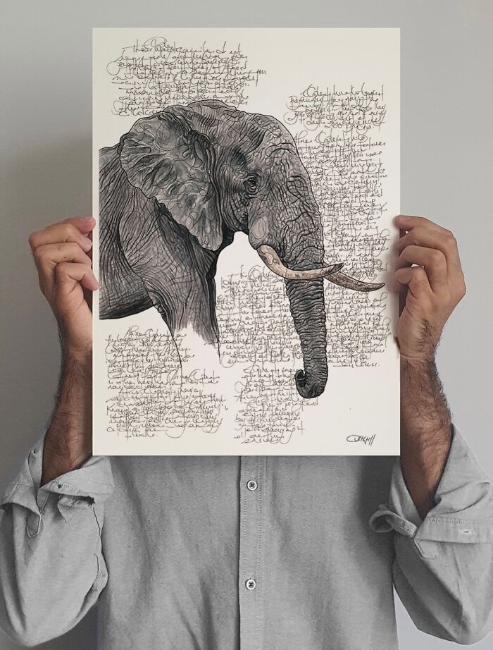 35 Beautiful Wildlife Sketches That Blend Scientific Detail With Artistic Wonder
