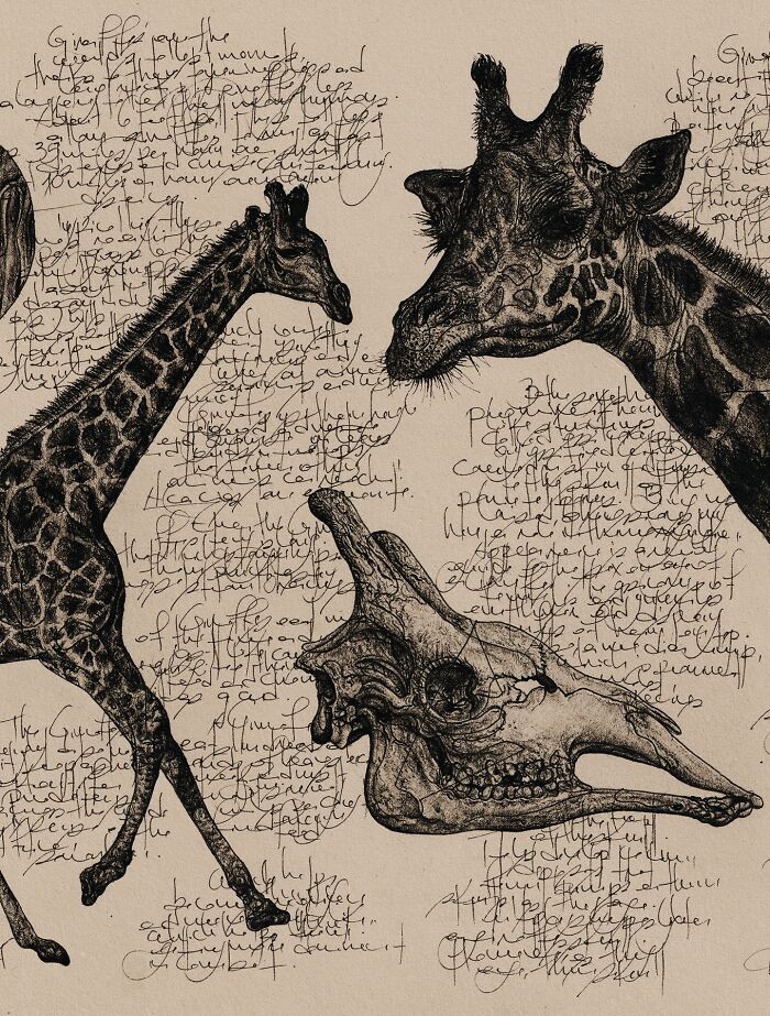 35 Beautiful Wildlife Sketches That Blend Scientific Detail With Artistic Wonder