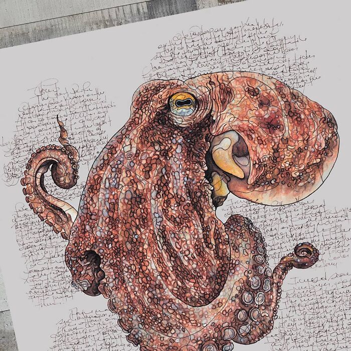 35 Beautiful Wildlife Sketches That Blend Scientific Detail With Artistic Wonder