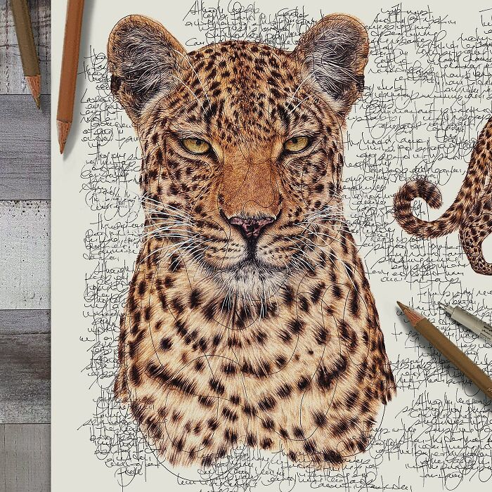 35 Beautiful Wildlife Sketches That Blend Scientific Detail With Artistic Wonder