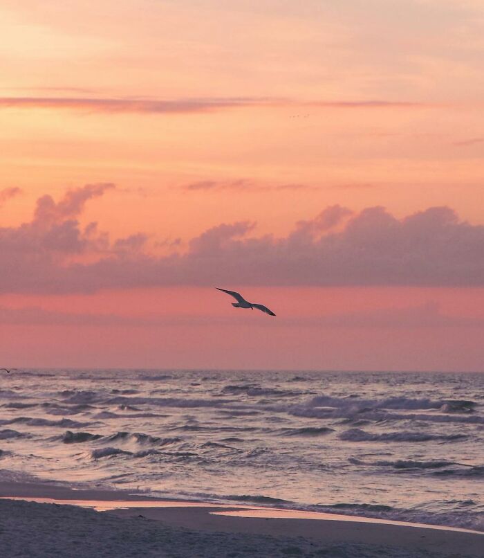 42 Beautiful Beach Photos Shared By This Page That Might Help You Mentally Escape To Summer