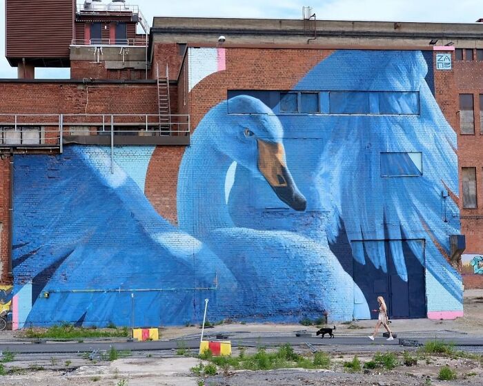 This Page Shared 50 New Murals That Turn Ordinary Walls Into Masterpieces