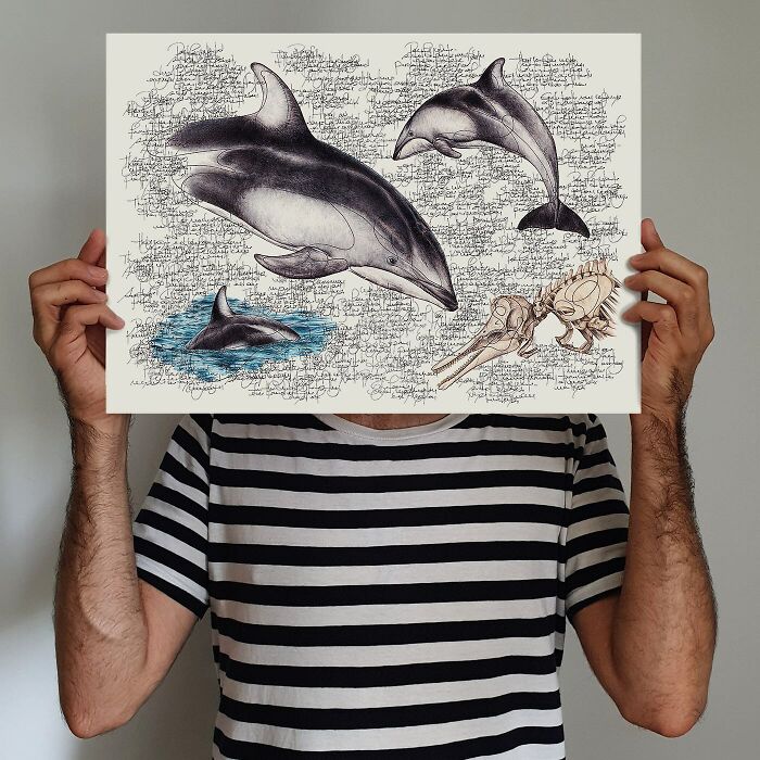 35 Beautiful Wildlife Sketches That Blend Scientific Detail With Artistic Wonder