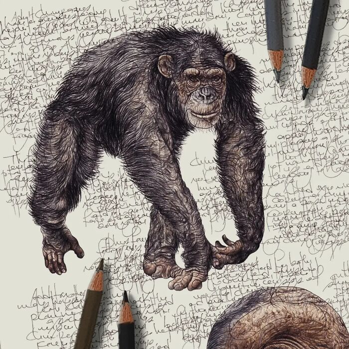 35 Beautiful Wildlife Sketches That Blend Scientific Detail With Artistic Wonder