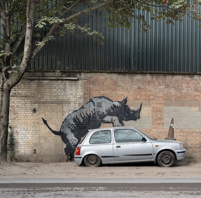 This Page Shared 50 New Murals That Turn Ordinary Walls Into Masterpieces