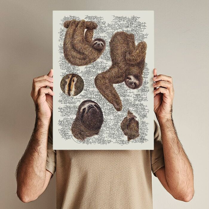 35 Beautiful Wildlife Sketches That Blend Scientific Detail With Artistic Wonder