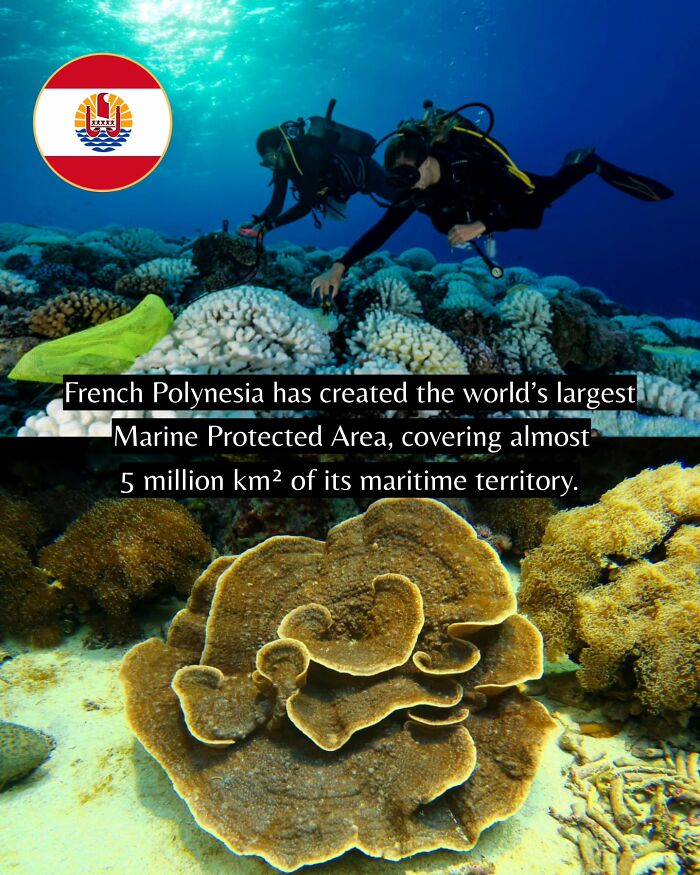 Scuba divers exploring coral reefs in the marine protected area of French Polynesia, showcasing good news worldwide.