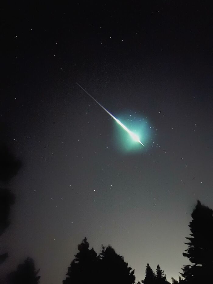 Bright meteor streaking across a starry night sky above silhouetted trees in one-in-a-million story.