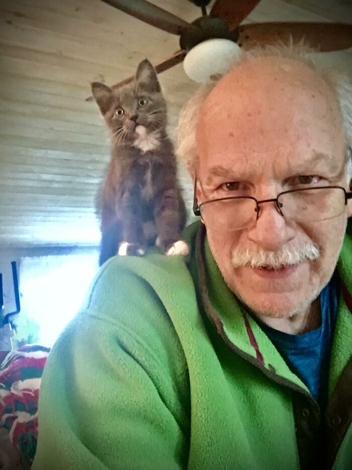 Older man in a green jacket with glasses smiling as a kitten perches on his shoulder in a cozy indoor setting.