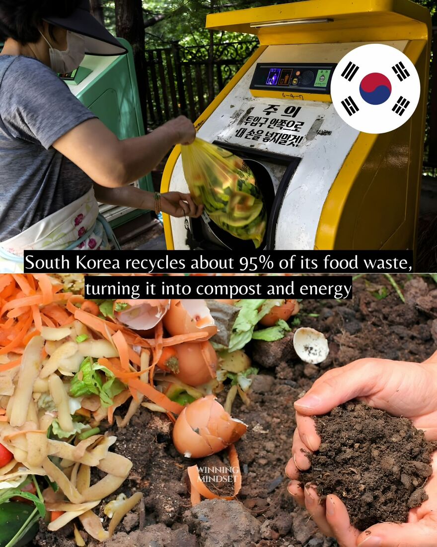 Woman recycling food waste in South Korea, turning it into compost and energy, showcasing positive environmental news.