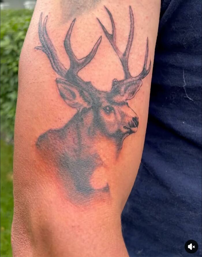 83 Times People Thought They Were Getting A Cool Tattoo And Ended Up With A Disaster (New Pics)