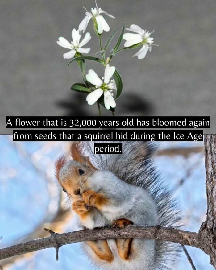 If You Can’t Take It Anymore, Here Are 55 Good News Stories That Recently Happened (New Pics)