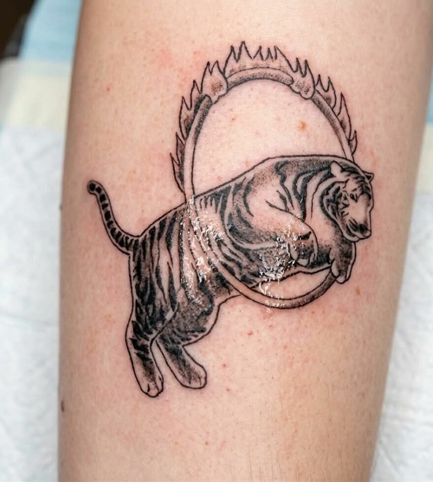 Tattoo of a tiger jumping through a flaming ring on skin, showcasing unusual and questionable tattoo art style.