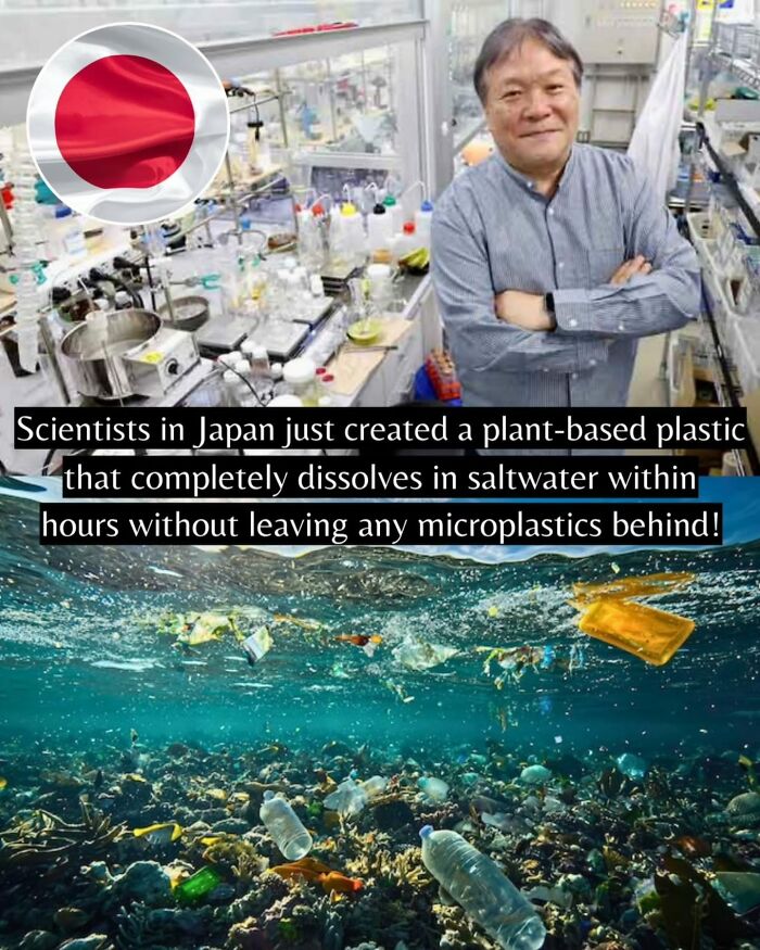 If You Can’t Take It Anymore, Here Are 55 Good News Stories That Recently Happened (New Pics)