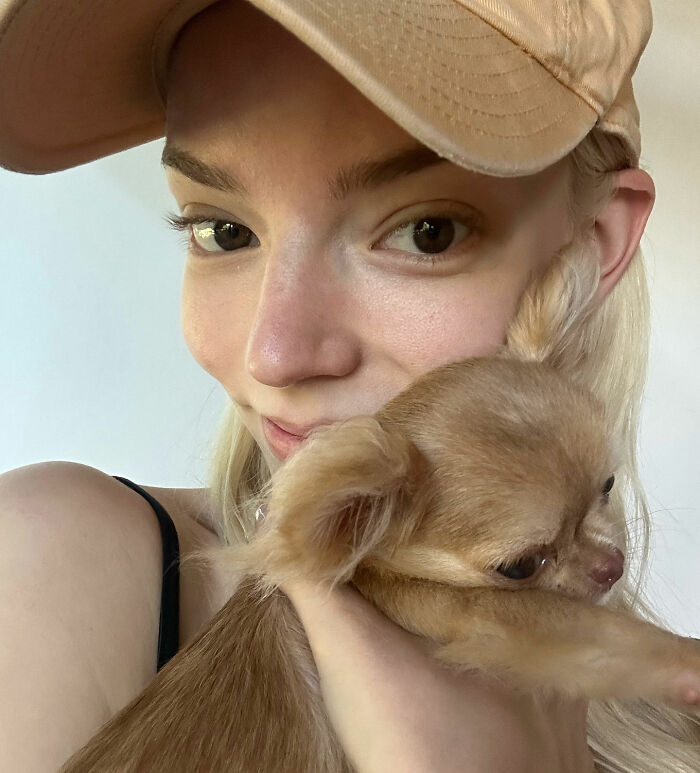 Anya Taylor-Joy in a casual cap holding a small brown dog, sparking heated debate among fans.