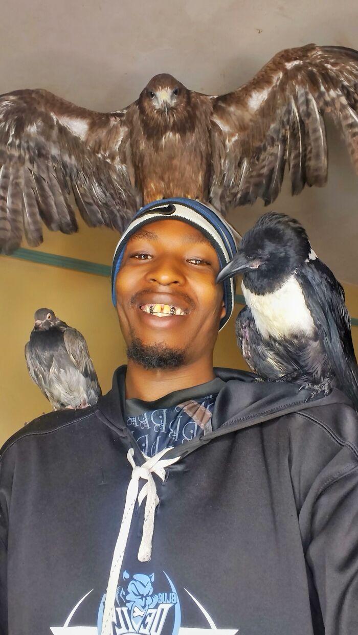 After Losing Everything, This Man Found Purpose In Rescuing Birds On Nairobi&rsquo;s Streets