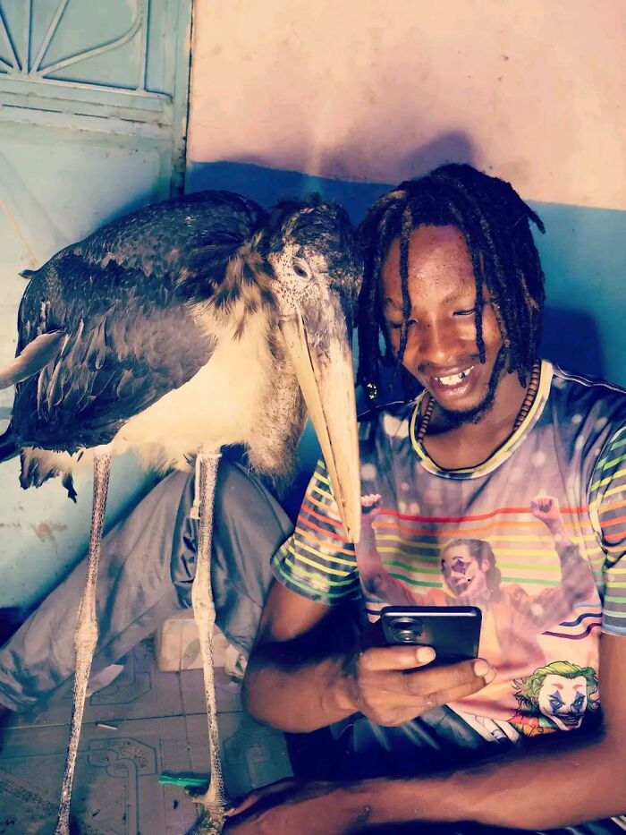 After Losing Everything, This Man Found Purpose In Rescuing Birds On Nairobi&rsquo;s Streets