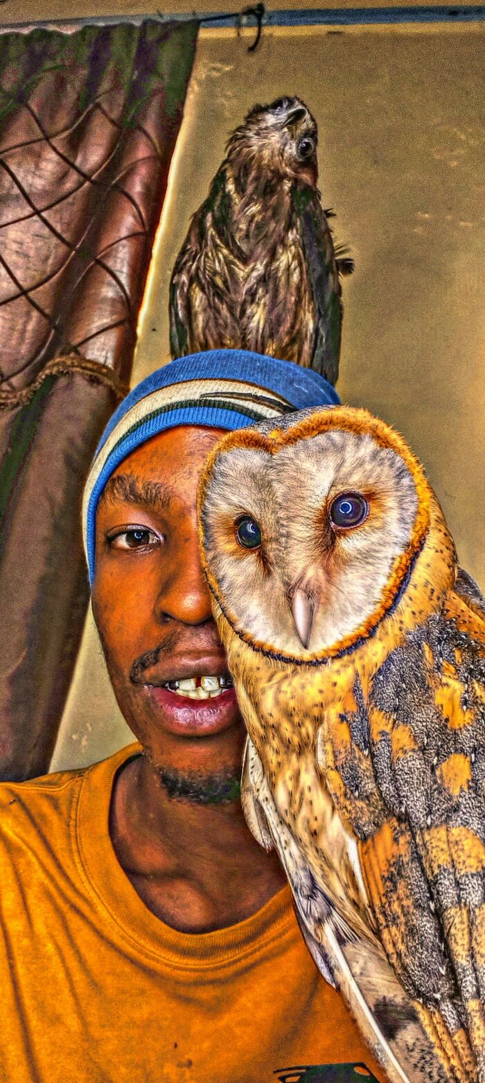 After Losing Everything, This Man Found Purpose In Rescuing Birds On Nairobi&rsquo;s Streets