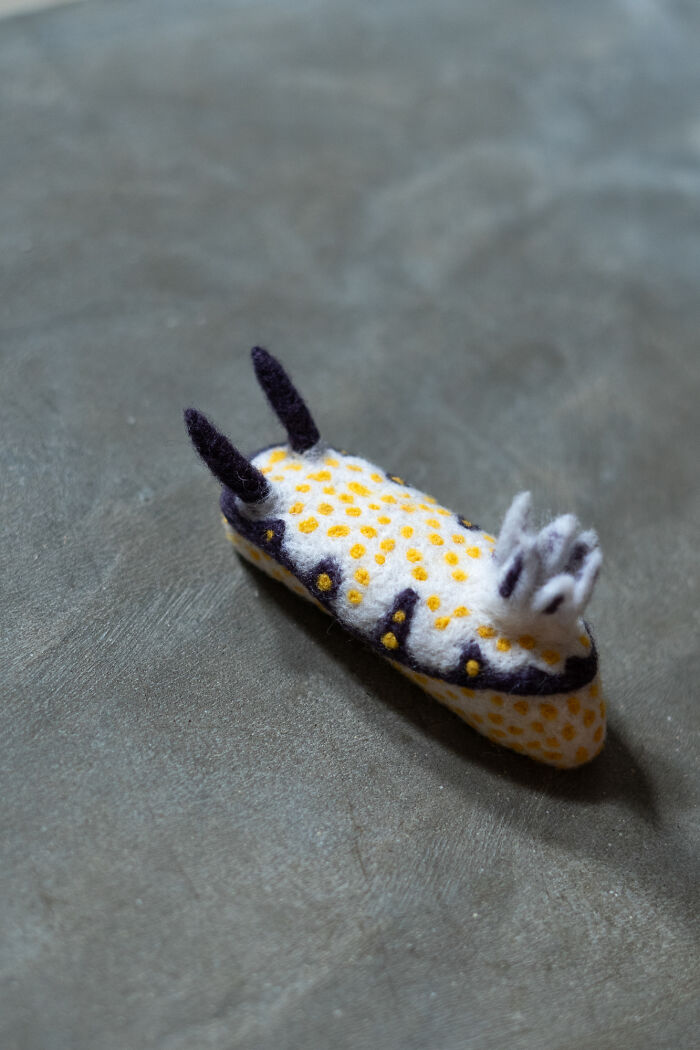“Hypselodoris Imperialis”