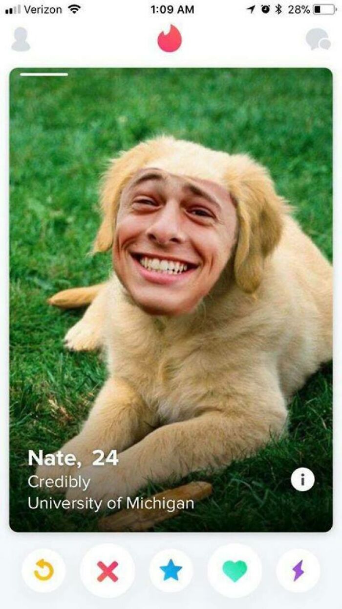 Tinder profile showing a dog with a human face, Nate 24, University of Michigan, humorous and cringe dating profile.