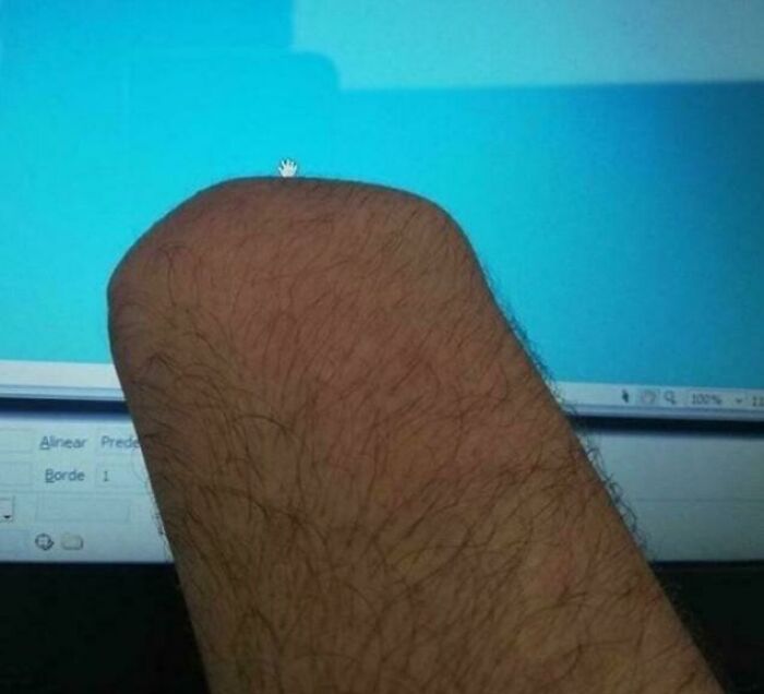 Close-up of a hairy arm positioned in front of a computer screen, fitting the theme of sarcastic images for ironic humor.