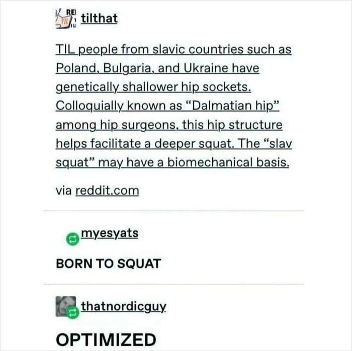 Screenshot of a social media post discussing genetically shallower hip sockets and the biomechanics of the slav squat.