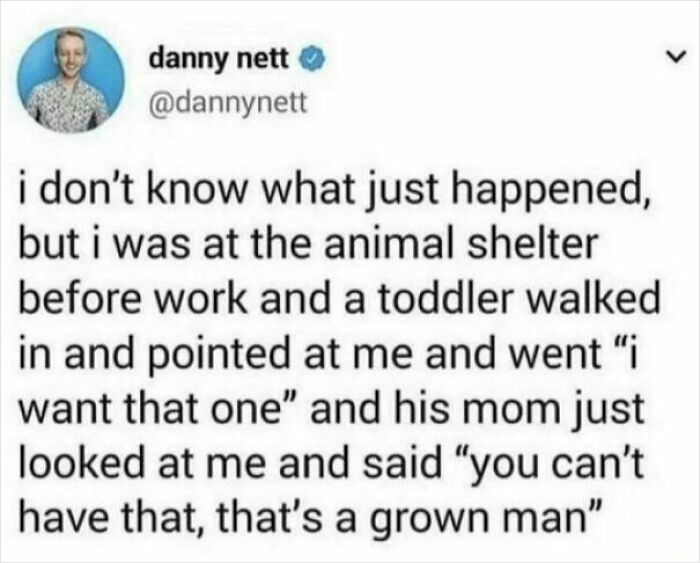 Screenshot of an unhinged sentence where a toddler points at a man at an animal shelter causing surprise.