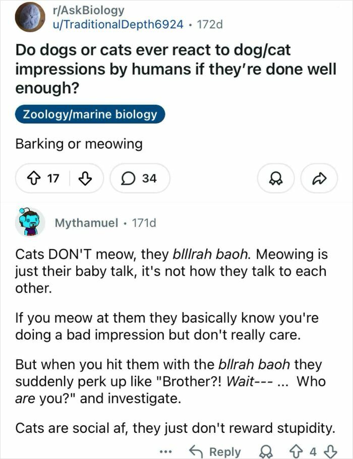 Reddit discussion about cats' unique communication and social behavior that surprised many with unhinged sentences.