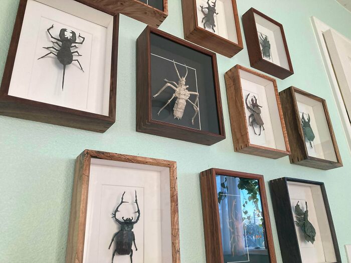 Framed DIY insect art displayed on a light green wall showcasing creative and unique DIY wins.