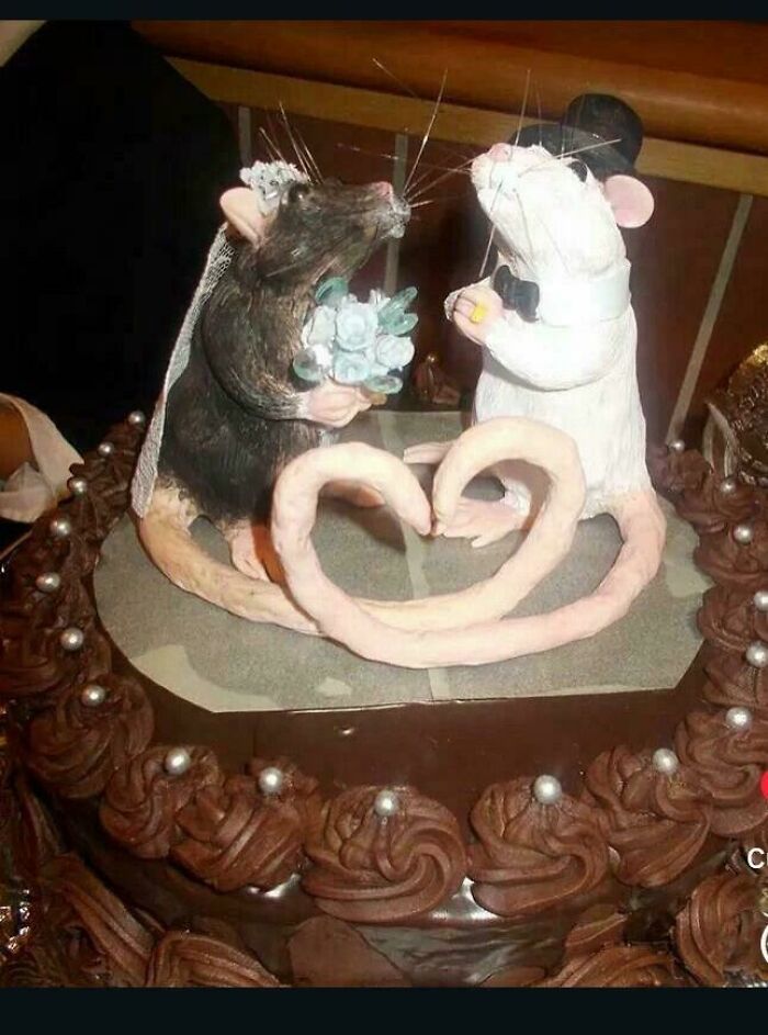 It's A Job Well Done, But What An Interesting Choice Of Cake For Your Wedding!