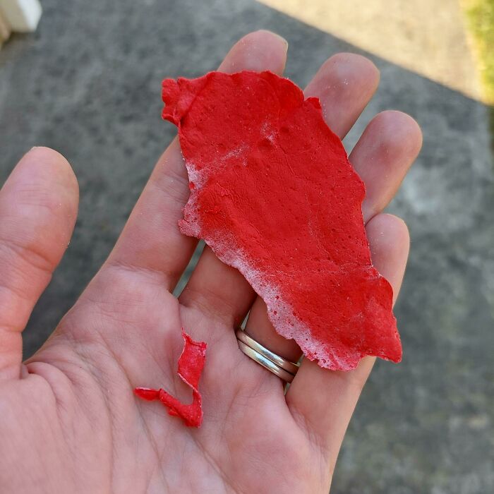 Hand holding a red piece of unidentified object, part of a collection showcasing the internet solving mystery of unidentified objects.