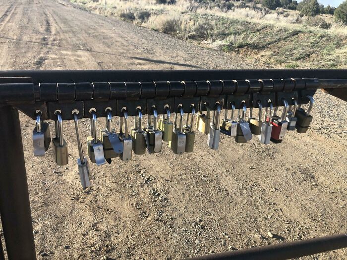 Row of various padlocks attached to a black metal gate in a rural area, illustrating internet mystery of unidentified objects.
