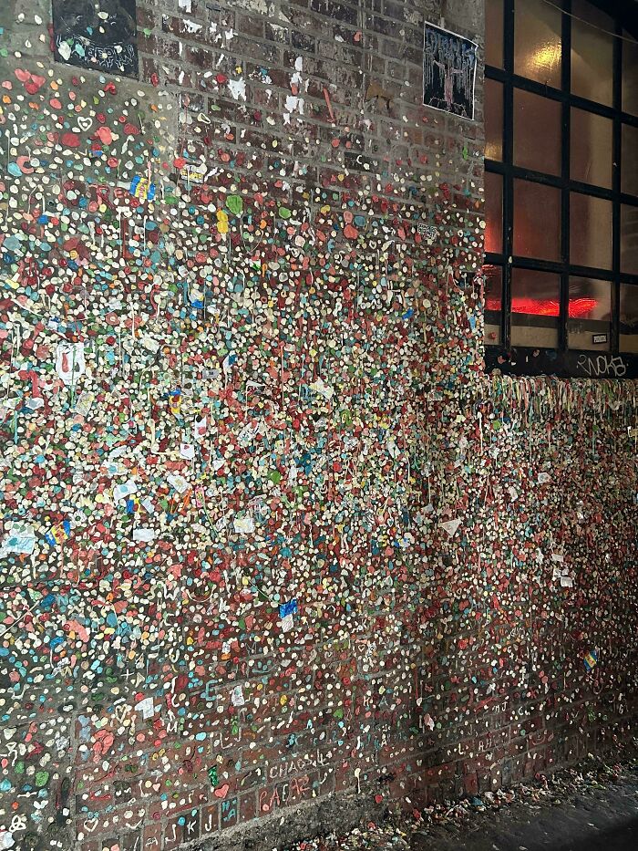 Wall covered in chewed gum by tourists demonstrating rude and entitled behavior in a popular public space.