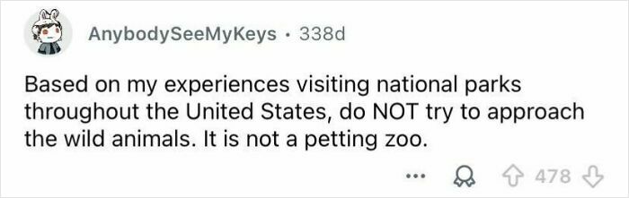 Screenshot of a social media comment warning tourists about approaching wild animals in national parks, highlighting rude behavior.