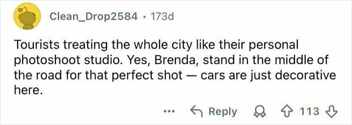 Screenshot of a social media comment shaming tourists for rude behavior by blocking traffic for photos.