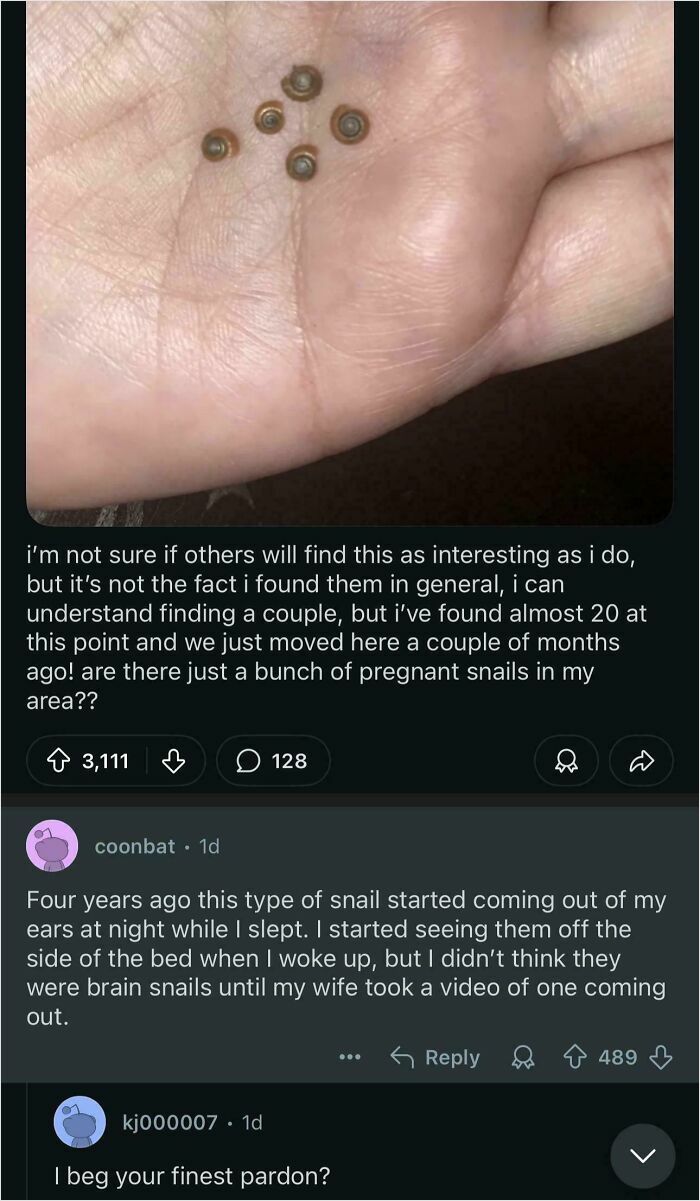 Close-up of a hand holding tiny snails, illustrating unusual and unhinged sentences from a viral online discussion.