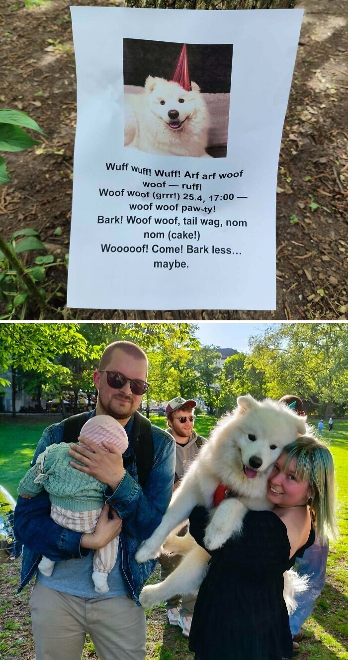 Cute white dog wearing a party hat on a flyer and a happy dog being held by a woman in a sunny park with people around.