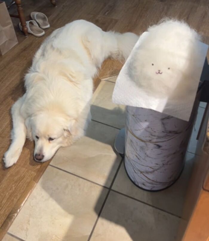 Fluffy white dog resting on floor next to trash can with paper towel resembling adorable animal face.