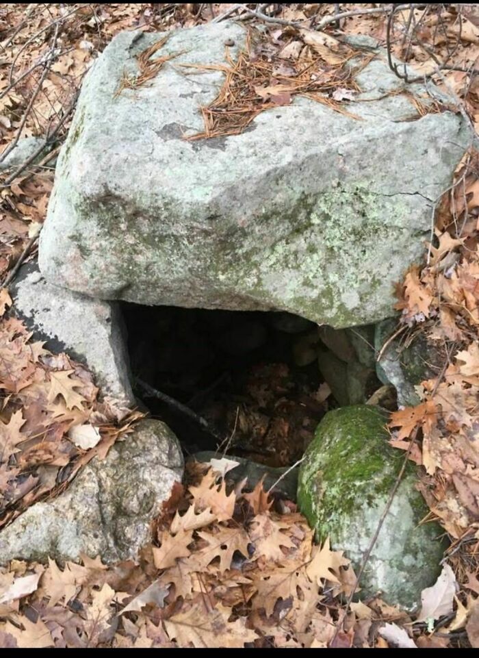 Moss-covered stones forming a dark entrance surrounded by fallen leaves, one of the disturbing and weird things found in abandoned homes.