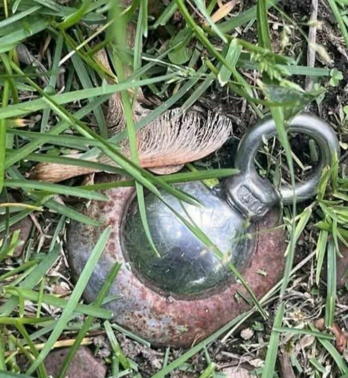 Shiny metal object with a ring handle partially buried in grass, one of the disturbing and weird things found in abandoned homes