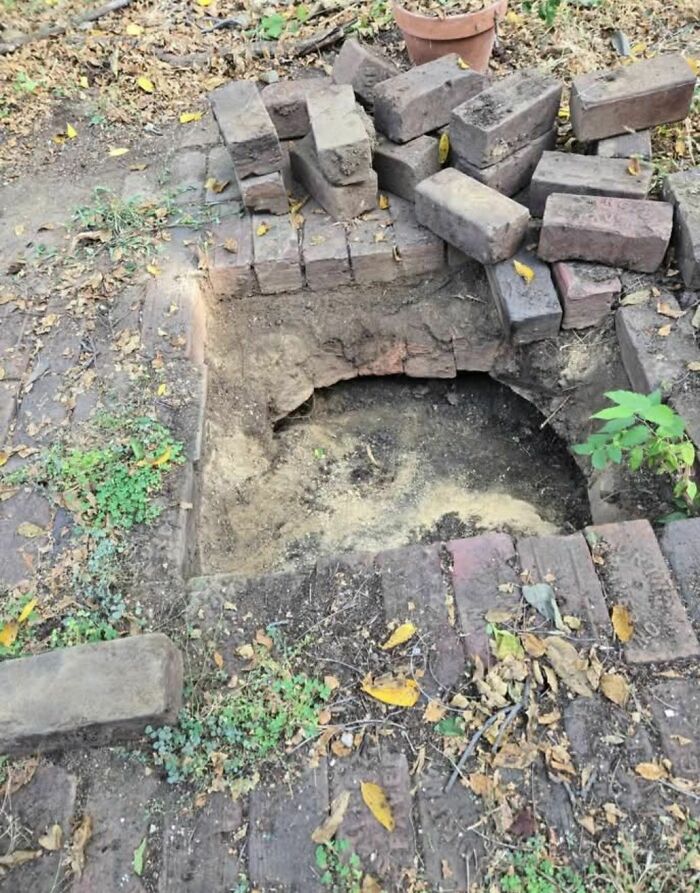 Partially uncovered brick hole on ground surrounded by scattered bricks in an abandoned home setting with dry leaves and plants.