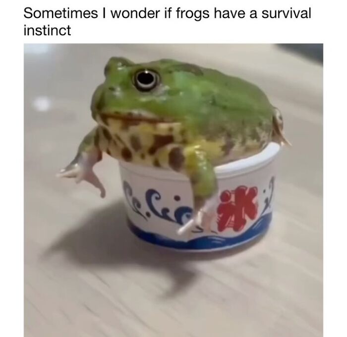 Wholesome-Animal-Memes-Funny-Sovjetanimals