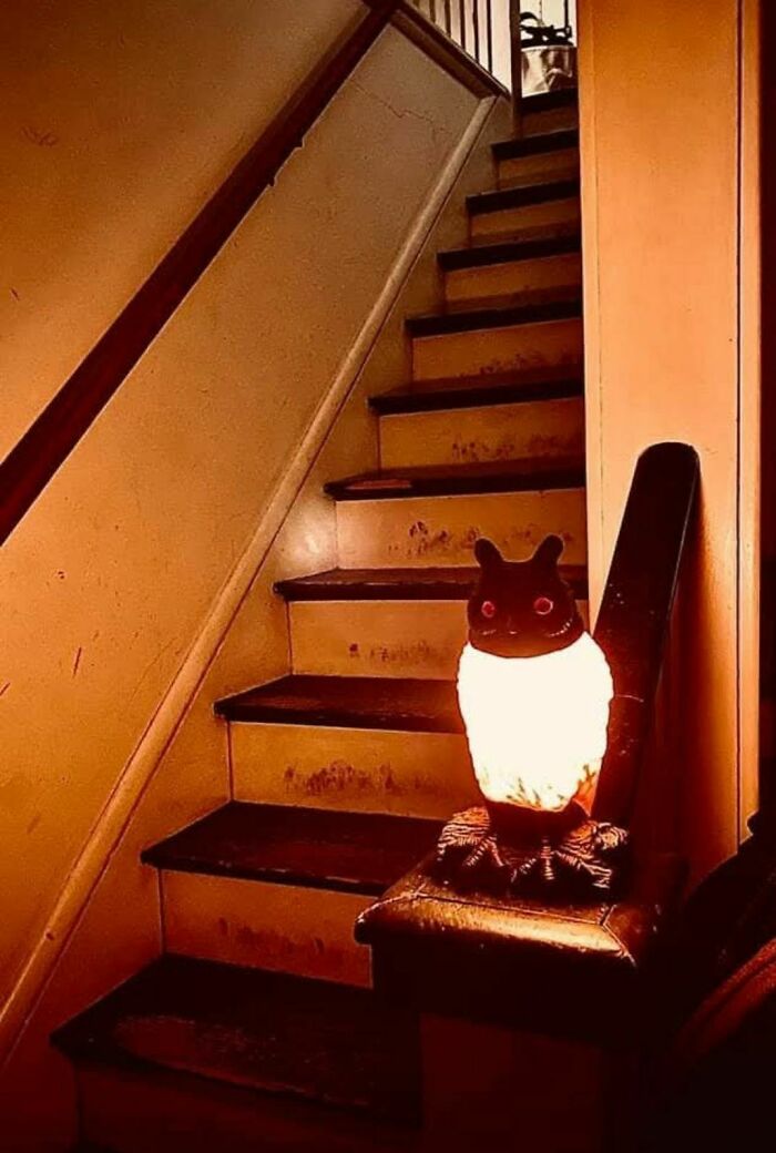 Owl-shaped lamp glowing on a worn staircase in an abandoned home with disturbing and weird forgotten objects.