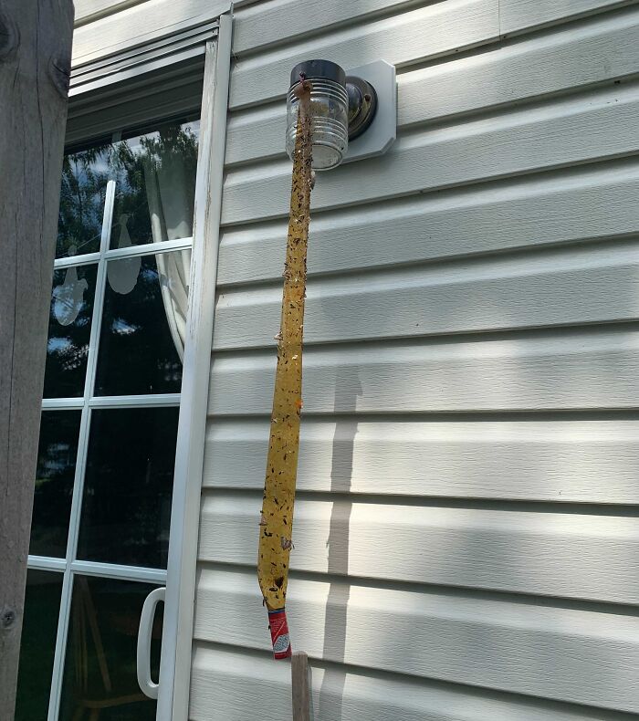 Don't Worry, The World Will Soon Be Bug-Free