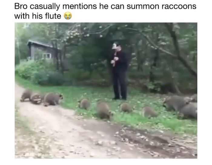 Wholesome-Animal-Memes-Funny-Sovjetanimals