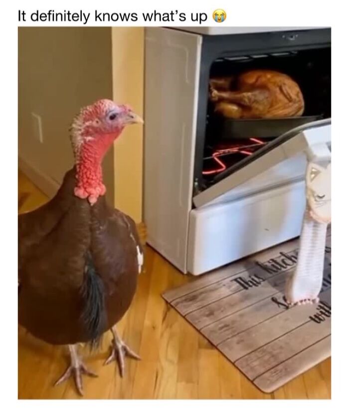 Wholesome-Animal-Memes-Funny-Sovjetanimals